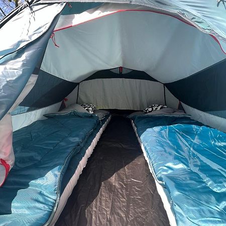 The Esn Kingsday Campsite Amsterdam Esterno foto
