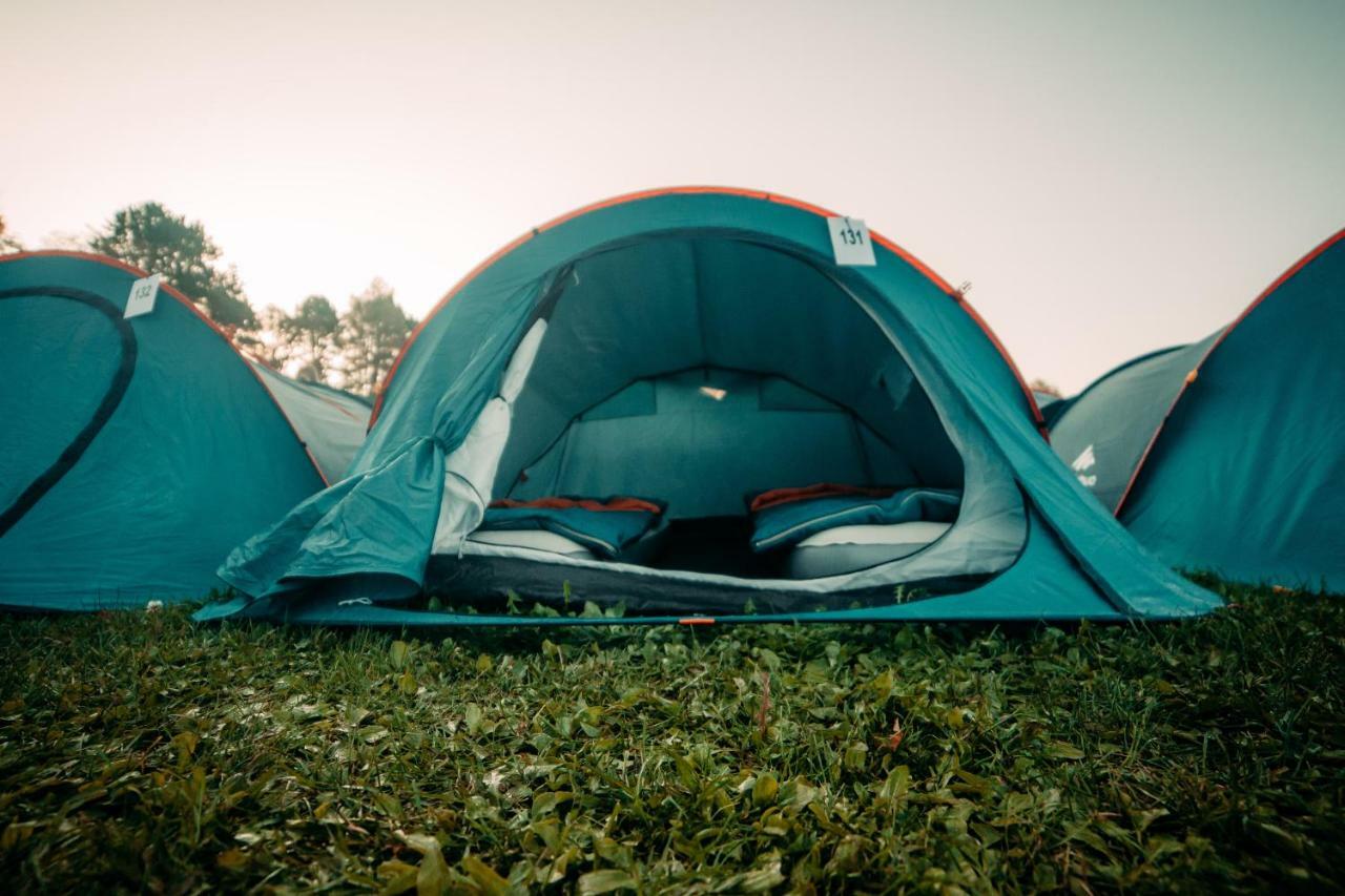 The Esn Kingsday Campsite Amsterdam Esterno foto